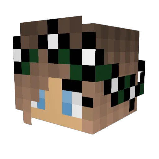 Biddson Minecraft avatar head, 3D render