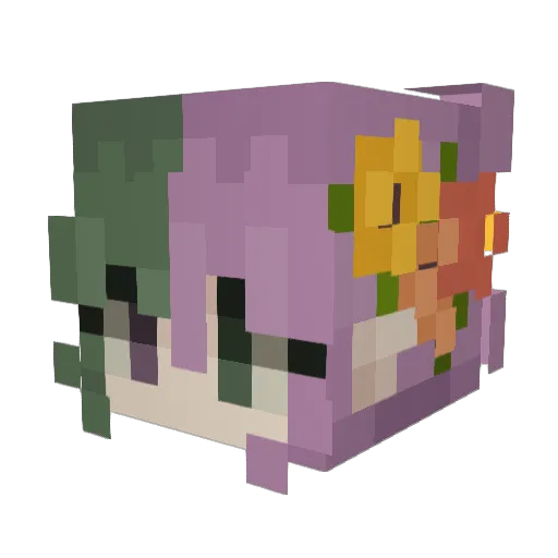 BiddyBean Minecraft avatar head, 3D render
