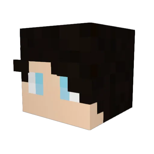 BidenMinecraft Minecraft avatar head, 3D render