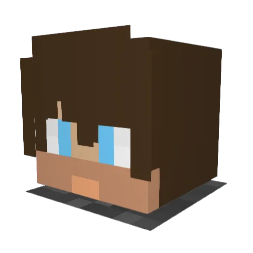 Bidens_Barber Minecraft avatar head, 3D render
