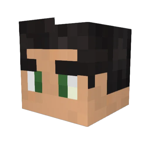 Bidhoune Minecraft avatar head, 3D render