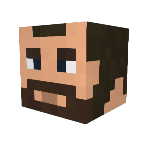 Bidly Minecraft avatar head, 3D render