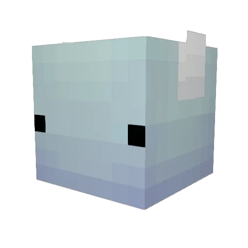 Bidoxodi1 Minecraft avatar head, 3D render