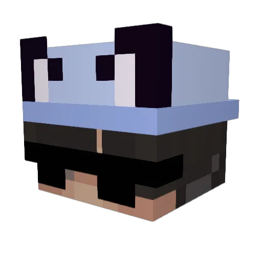 Bidshy Minecraft avatar head, 3D render