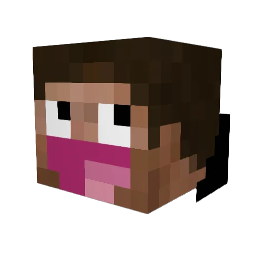 Biduis Minecraft avatar head, 3D render