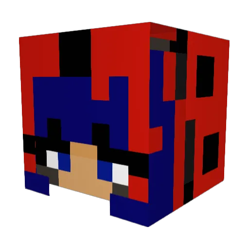 Biedronka444 Minecraft avatar head, 3D render