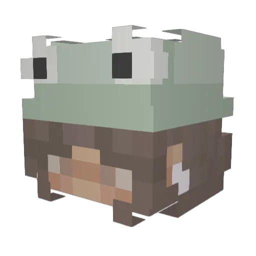 Biedroonka Minecraft avatar head, 3D render