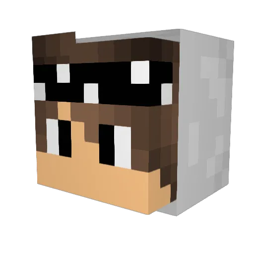 BiedrzyK2007 Minecraft avatar head, 3D render