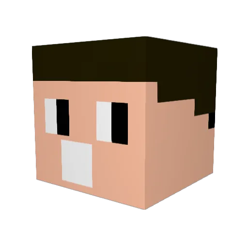 Bieeelw Minecraft avatar head, 3D render