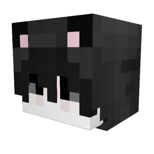 Biel9389 Minecraft avatar head, 3D render