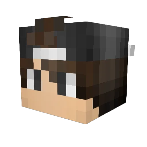Biel_do_Dark Minecraft avatar head, 3D render