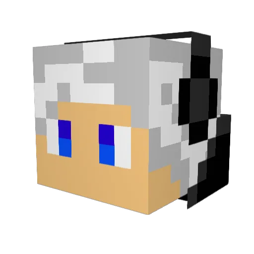 Bielpx04 Minecraft avatar head, 3D render