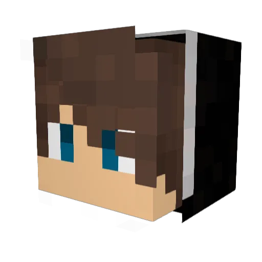 Bielzaoum13 Minecraft avatar head, 3D render
