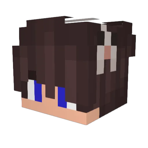 Bielzinhu Minecraft avatar head, 3D render