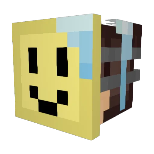 Biemeneer Minecraft avatar head, 3D render