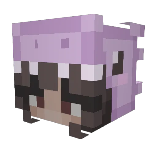 Bienchen63 Minecraft avatar head, 3D render