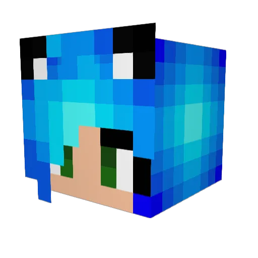 Biene23 Minecraft avatar head, 3D render