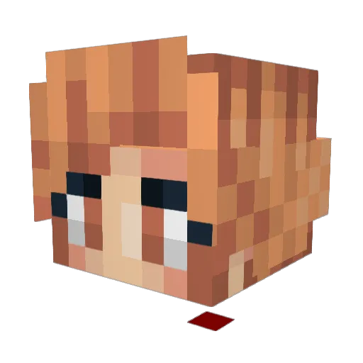 Biene337 Minecraft avatar head, 3D render