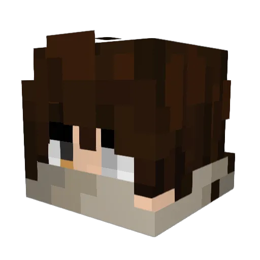 Bienee10 Minecraft avatar head, 3D render