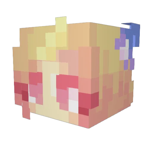 Bieni2401 Minecraft avatar head, 3D render