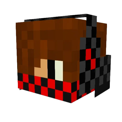 Bieniii Minecraft avatar head, 3D render