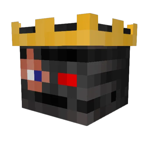 Bieniu_1337 Minecraft avatar head, 3D render