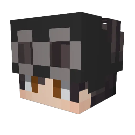 Biepke05 Minecraft avatar head, 3D render