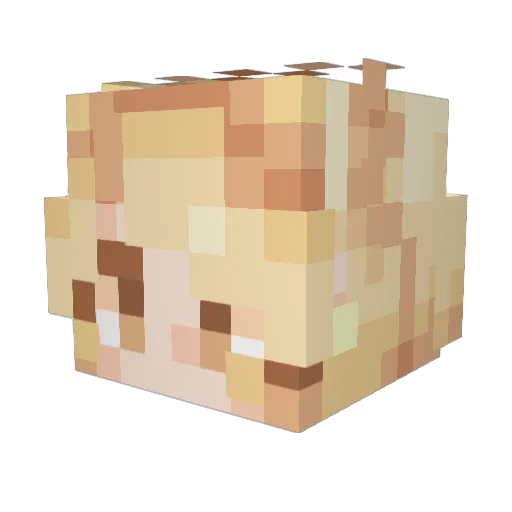 BierGlass0607 Minecraft avatar head, 3D render