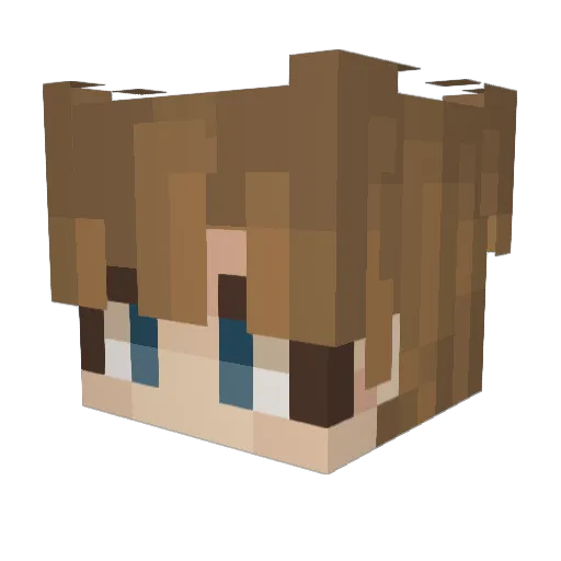 BiffBee Minecraft avatar head, 3D render
