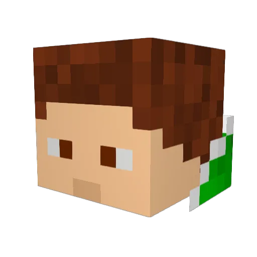 BiffTinn Minecraft avatar head, 3D render