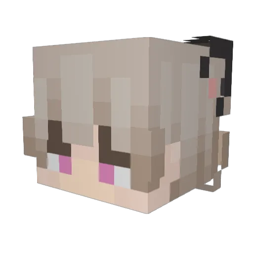 Bifi112110 Minecraft avatar head, 3D render