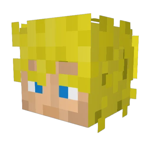 Bifi_Master Minecraft avatar head, 3D render