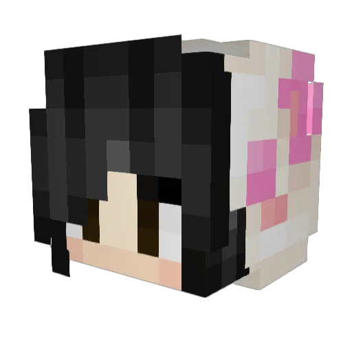 BigAL2245 Minecraft avatar head, 3D render