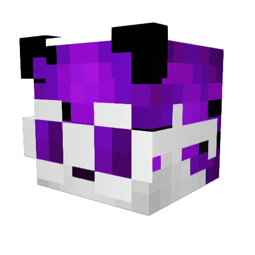BigB4llsButH0l3 Minecraft avatar head, 3D render