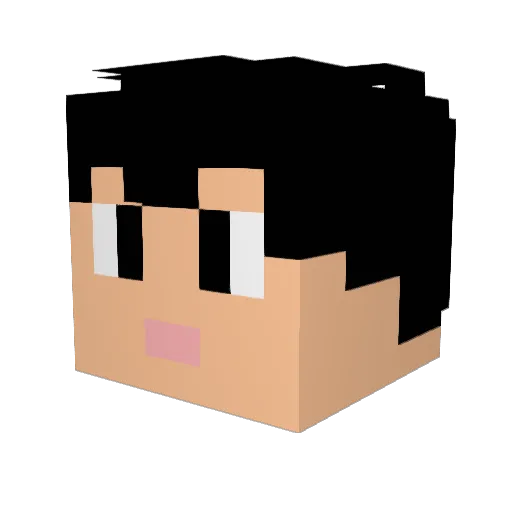 BigBang17 Minecraft avatar head, 3D render