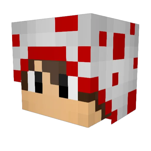 BigBart___ Minecraft avatar head, 3D render