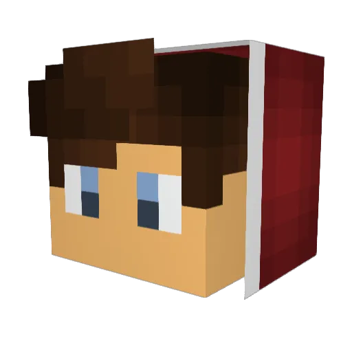 BigBear73 Minecraft avatar head, 3D render