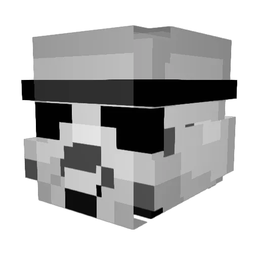 BigBeautifulBoy Minecraft avatar head, 3D render