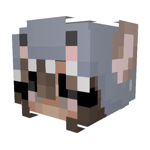 BigBiter Minecraft avatar head, 3D render