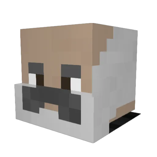 BigBlounso Minecraft avatar head, 3D render