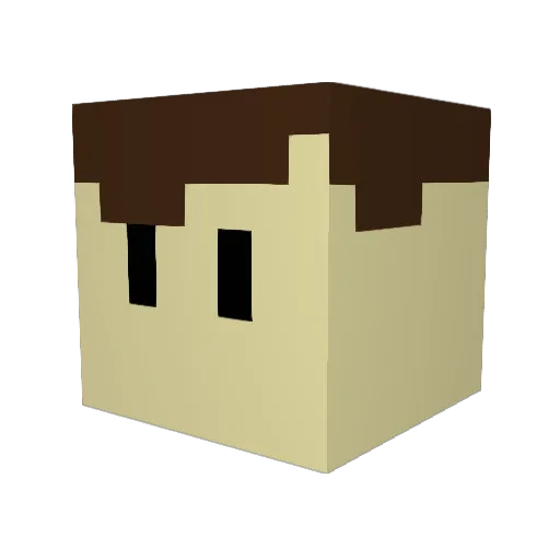 BigBlue4308 Minecraft avatar head, 3D render