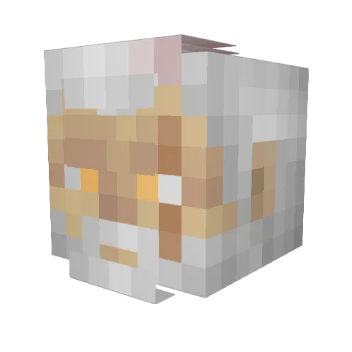 BigBoi_Zak Minecraft avatar head, 3D render