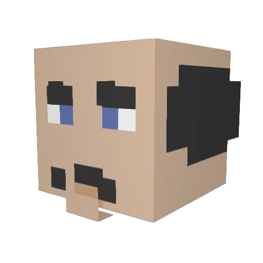 BigBoots292 Minecraft avatar head, 3D render