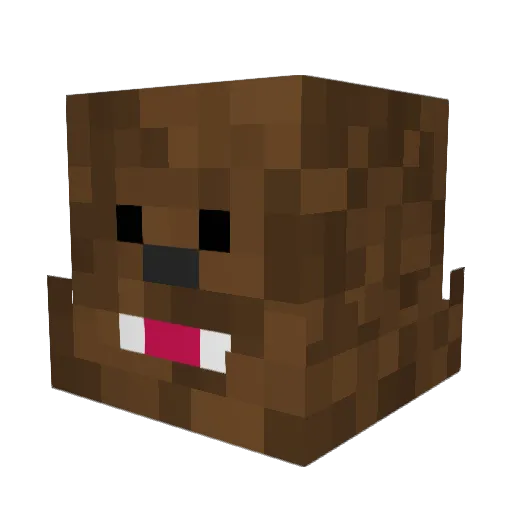 BigBosnian Minecraft avatar head, 3D render