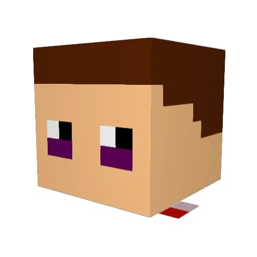 BigBoySauceBoss Minecraft avatar head, 3D render