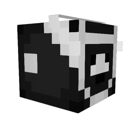 BigBoyXan Minecraft avatar head, 3D render