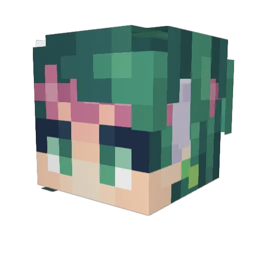 BigBrain5555 Minecraft avatar head, 3D render