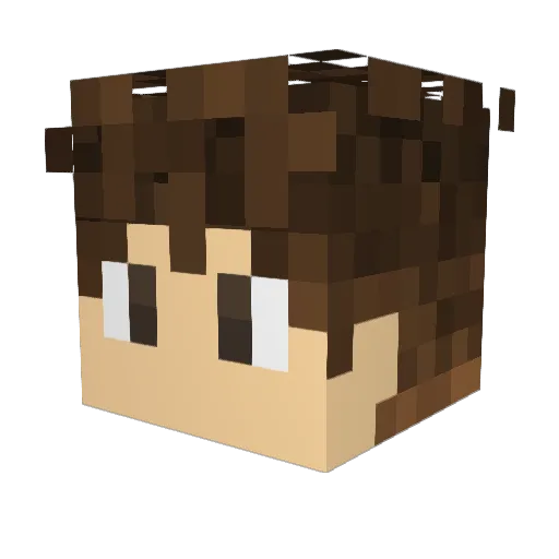BigBrainLeeB Minecraft avatar head, 3D render
