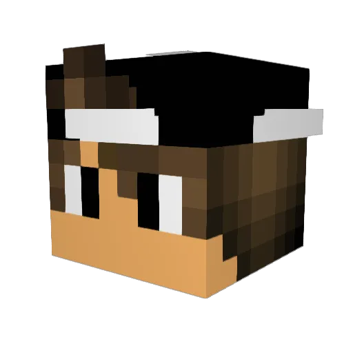BigBruce52 Minecraft avatar head, 3D render
