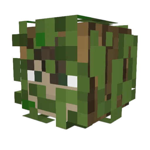 BigBuckHunter2 Minecraft avatar head, 3D render